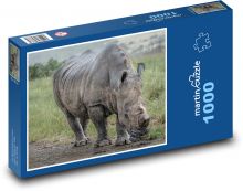 Nosorožec Puzzle 1000 dielikov - 60 x 46 cm 