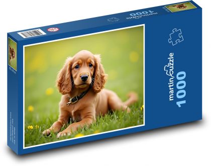Pies - Szczeniak - Puzzle 1000 elementów, rozmiar 60x46 cm