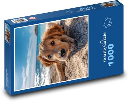 Štěně na pláži - puzzle 1000 dílků