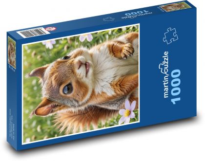 Wiewiórka - Puzzle 1000 elementów, rozmiar 60x46 cm