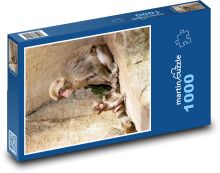Opice - matka a dítě Puzzle 1000 - 60x46 cm