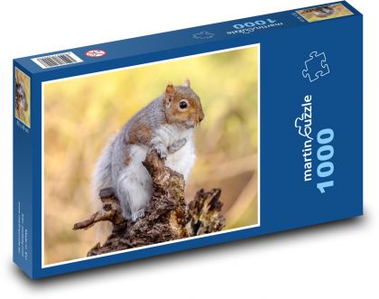Veverka - puzzle 1000 dílků