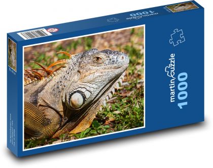 Leguán - Puzzle 1000 dílků, rozměr 60x46 cm