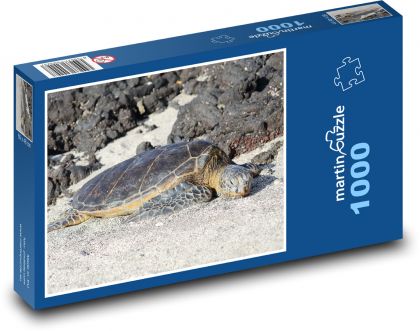 Sea turtle - Puzzle 1000 pieces, size 60x46 cm 