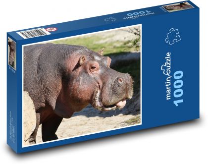 hipopotam - Puzzle 1000 elementów, rozmiar 60x46 cm