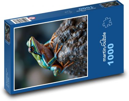 Żaba na kamieniu - Puzzle 1000 elementów, rozmiar 60x46 cm