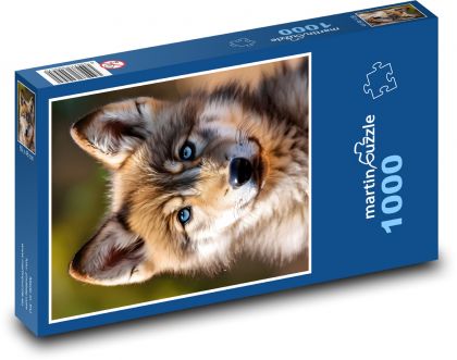 Wolf cub - Puzzle 1000 pieces, size 60x46 cm 