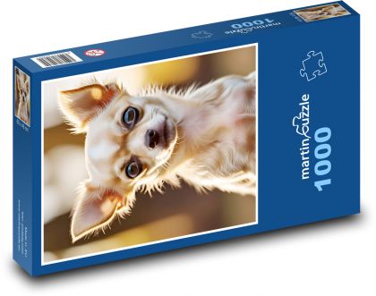 Čivava - puzzle 1000 dílků