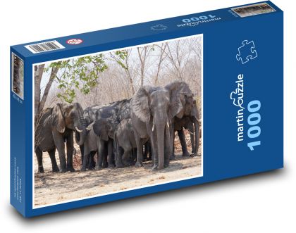 Slony - Puzzle 1000 dielikov, rozmer 60x46 cm