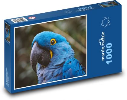 Papoušek - puzzle 1000 dílků