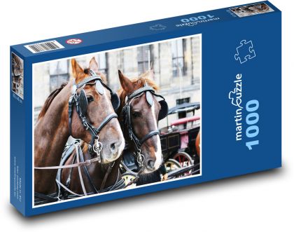 Koni - Puzzle 1000 elementów, rozmiar 60x46 cm