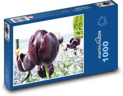 Tulpe. - Puzzle - 1000 Teile