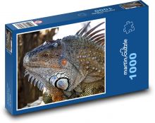 Leguán - jašterica Puzzle 1000 dielikov - 60 x 46 cm