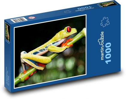 Žaba - žaba - Puzzle 1000 dielikov, rozmer 60x46 cm