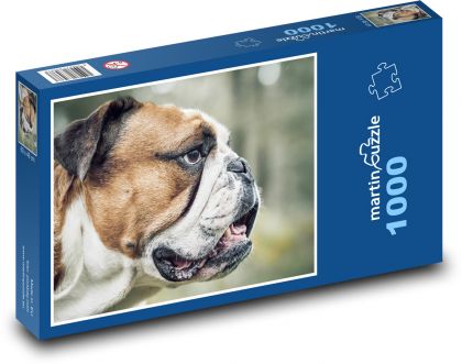 Pes - buldok - puzzle 1000 dílků