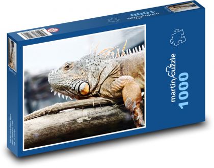 Ještěrka - leguán - Puzzle 1000 dílků, rozměr 60x46 cm