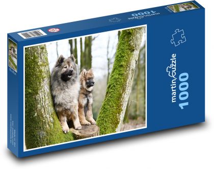 Eurasischer Hund - Puzzle - 1000 Teile