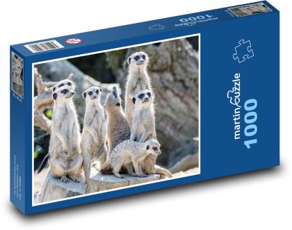Surykatki - Puzzle 1000 elementów, rozmiar 60x46 cm