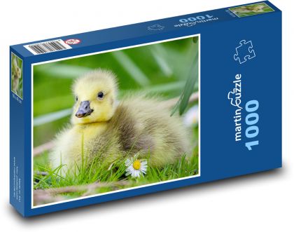 Gans - Küken - Puzzle - 1000 Teile