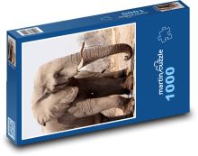 Slon - Botswana Puzzle 1000 - 60x46 cm