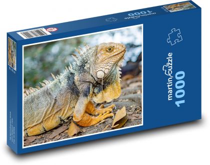 Legwan - gad - Puzzle 1000 elementów, rozmiar 60x46 cm