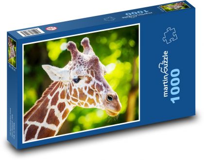 Giraffe. - Puzzle - 1000 Teile