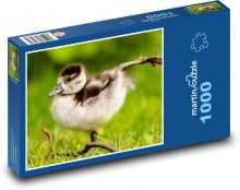 Husice nilská Puzzle 1000 dílků - 60 x 46 cm