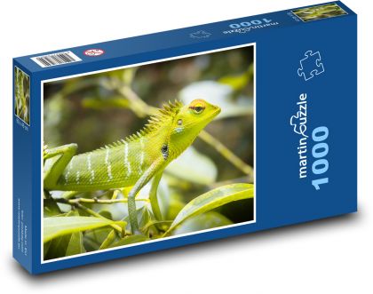 Green lizard - Puzzle 1000 pieces, size 60x46 cm 