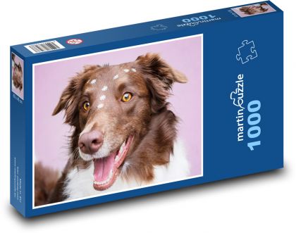 Border kolie - puzzle 1000 dílků