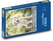 Retriever - štěně Puzzle 1000 - 60x46 cm