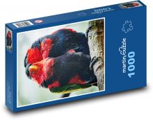 papagájotvaré Puzzle 1000 dielikov - 60 x 46 cm 