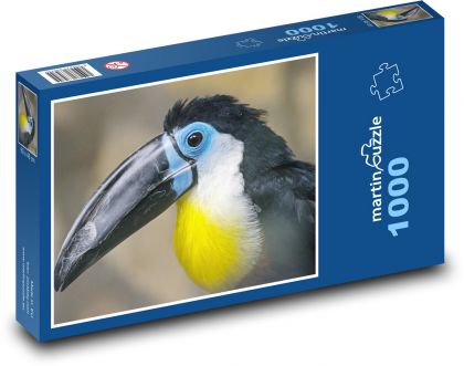Tukan - Puzzle 1000 dielikov, rozmer 60x46 cm