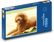 Pes - štěně Puzzle 1000 dílků - 60 x 46 cm