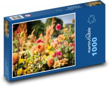 Dalie Puzzle 1000 elementów - 60x46 cm