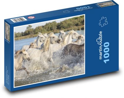 Hříbata běžící ve vodě - puzzle 1000 dílků