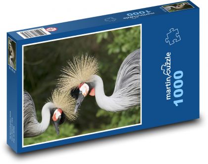 Żuraw szary - Puzzle 1000 elementów, rozmiar 60x46 cm