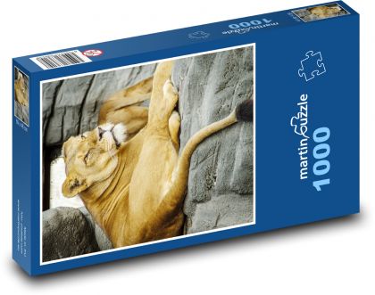 lioness - Puzzle 1000 pieces, size 60x46 cm 