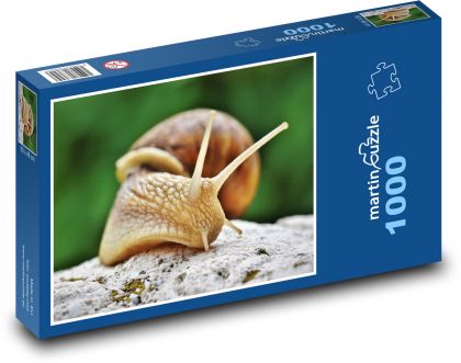ślimak - Puzzle 1000 elementów, rozmiar 60x46 cm