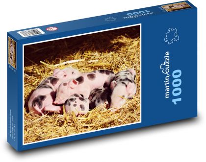 Sleeping piglets - Puzzle 1000 pieces, size 60x46 cm 