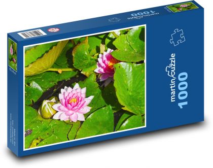 Die Seerosen - Puzzle - 1000 Teile
