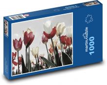 Tulipány Puzzle 1000 dílků - 60 x 46 cm