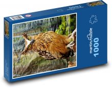 Sova - vták Puzzle 1000 dielikov - 60 x 46 cm 