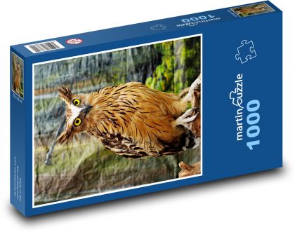 Sova - vták - Puzzle 1000 dielikov, rozmer 60x46 cm
