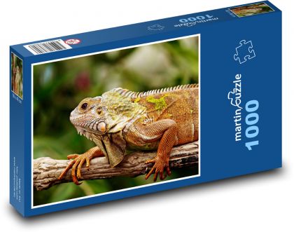 Iguana - Reptile - Puzzle 1000 pieces, size 60x46 cm 