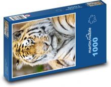 Tiger Puzzle 1000 dielikov - 60 x 46 cm 