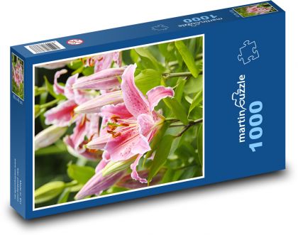 Lily Flower - Puzzle 1000 pieces, size 60x46 cm 