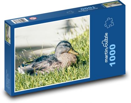 Divoká kachna - puzzle 1000 dílků