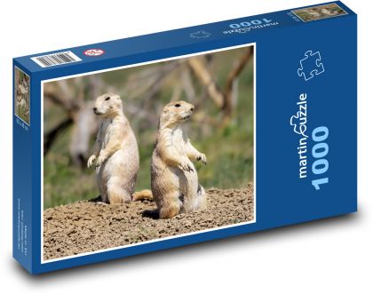 Psy preriowe - Puzzle 1000 elementów, rozmiar 60x46 cm