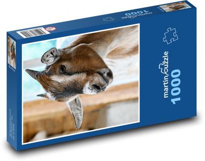 Ziege - Puzzle - 1000 Teile