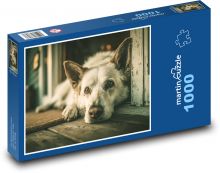 Pes ležiaci na podlahe Puzzle 1000 dielikov - 60 x 46 cm 